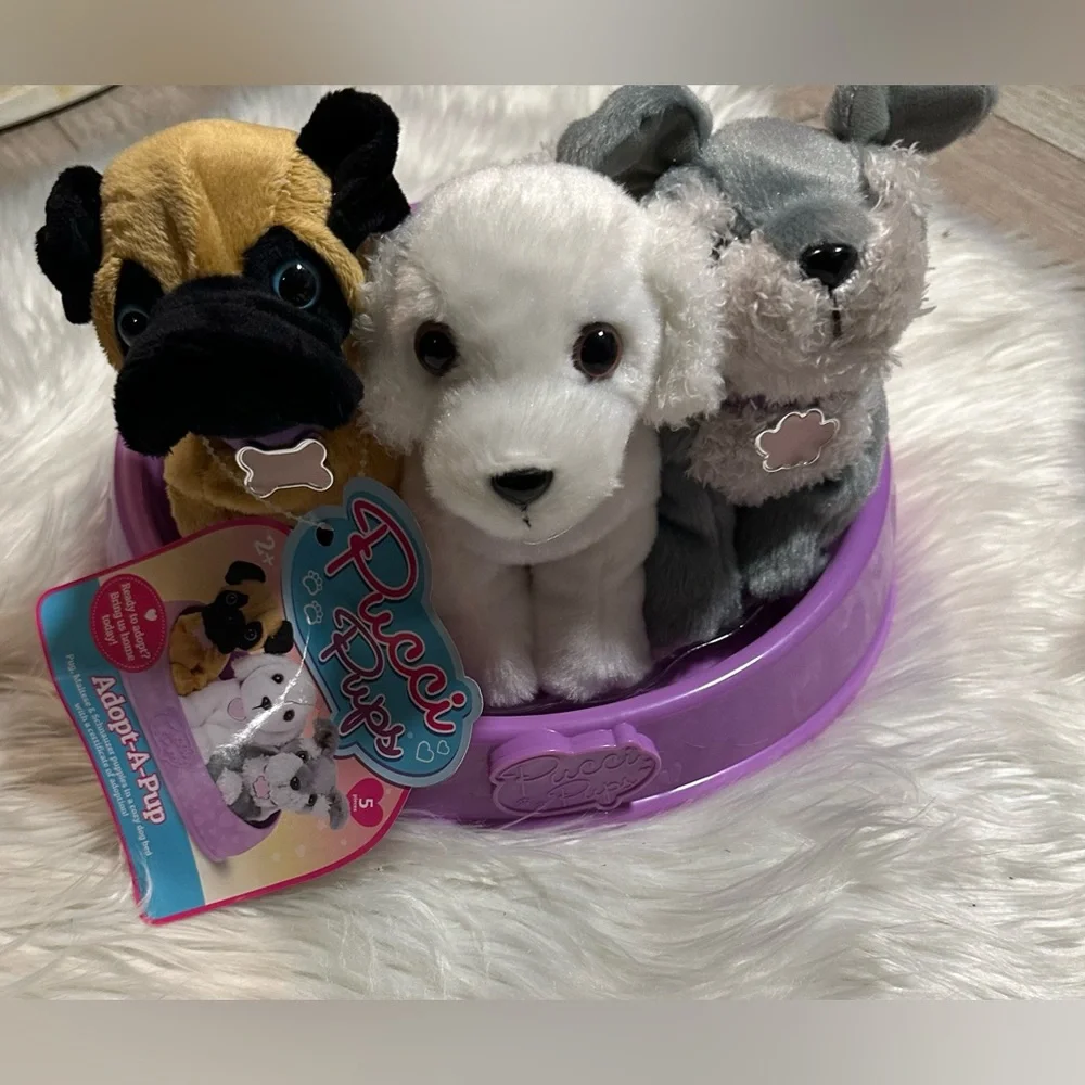 Pucci Pups - Picture 3 of 6